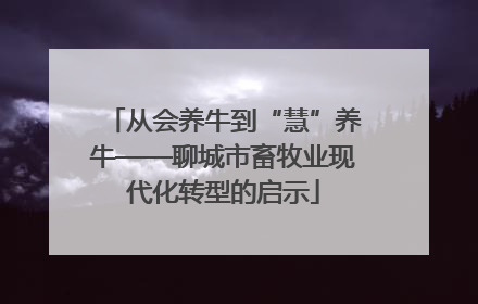 从会养牛到“慧”养牛——聊城市畜牧业现代化转型的启示