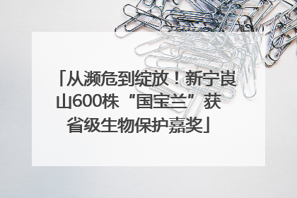 从濒危到绽放！新宁崀山600株“国宝兰”获省级生物保护嘉奖