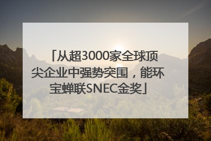 从超3000家全球顶尖企业中强势突围，能环宝蝉联SNEC金奖