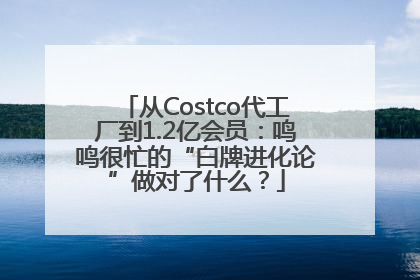 从Costco代工厂到1.2亿会员：鸣鸣很忙的“白牌进化论”做对了什么？