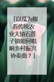 以瓜为媒 看传统农业大镇石莲子镇如何唱响乡村振兴协奏曲？
