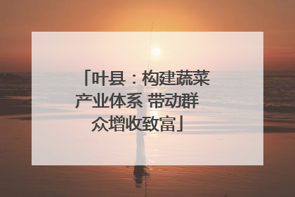 叶县：构建蔬菜产业体系 带动群众增收致富