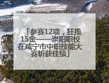 参赛12项，狂揽15金——崇阳职校在咸宁市中职技能大赛斩获佳绩