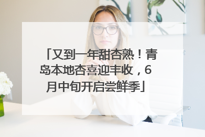 又到一年甜杏熟！青岛本地杏喜迎丰收，6月中旬开启尝鲜季