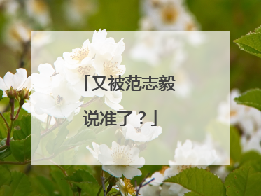 又被范志毅说准了？