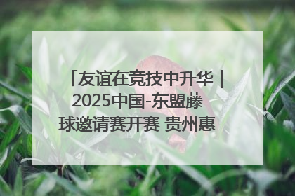 友谊在竞技中升华｜2025中国-东盟藤球邀请赛开赛 贵州惠水燃动“空中芭蕾”