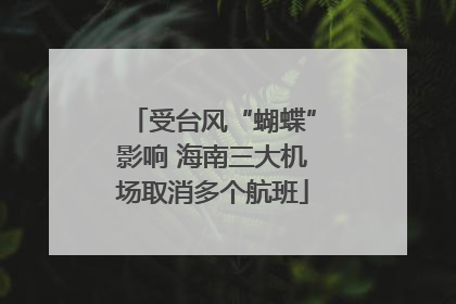 受台风“蝴蝶”影响 海南三大机场取消多个航班