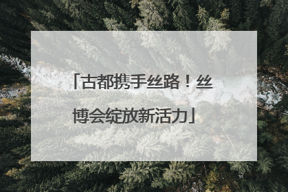 古都携手丝路！丝博会绽放新活力