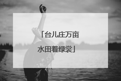 台儿庄万亩水田着绿裳