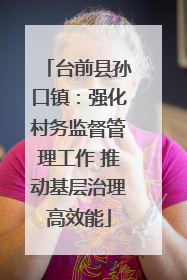 台前县孙口镇：强化村务监督管理工作 推动基层治理高效能