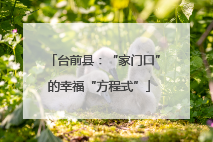 台前县：“家门口”的幸福“方程式”