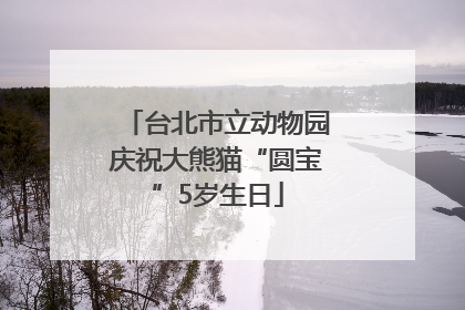 台北市立动物园庆祝大熊猫“圆宝”5岁生日
