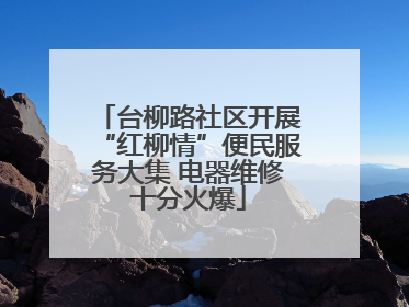 台柳路社区开展“红柳情”便民服务大集 电器维修十分火爆