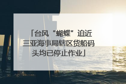 台风“蝴蝶”迫近 三亚海事局辖区货船码头均已停止作业