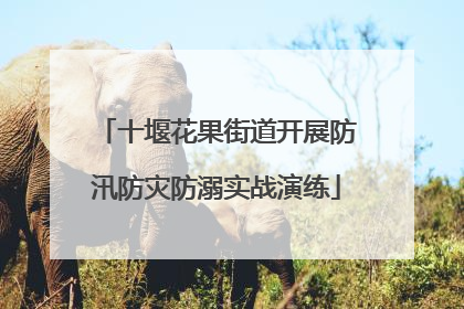 十堰花果街道开展防汛防灾防溺实战演练