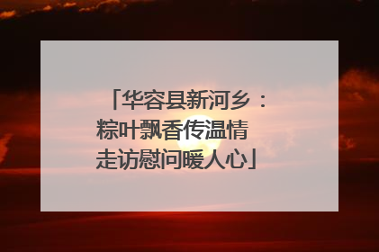 华容县新河乡：粽叶飘香传温情 走访慰问暖人心