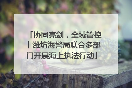 协同亮剑，全域管控丨潍坊海警局联合多部门开展海上执法行动