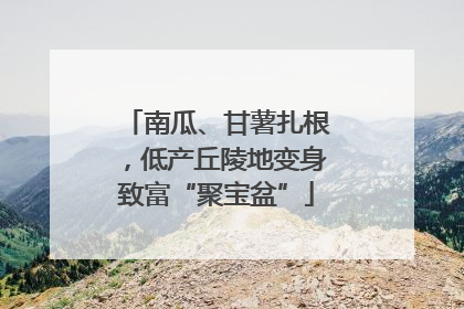 南瓜、甘薯扎根，低产丘陵地变身致富“聚宝盆”