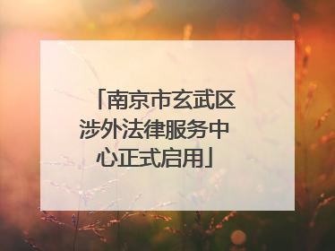 南京市玄武区涉外法律服务中心正式启用