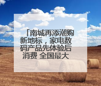 南城再添潮购新地标，家电数码产品先体验后消费 全国最大京东MALL开业