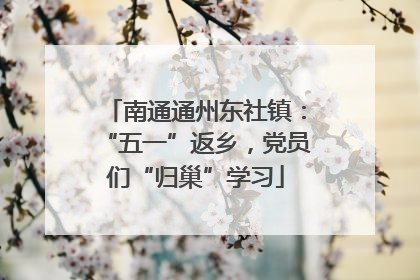南通通州东社镇：“五一”返乡，党员们“归巢”学习