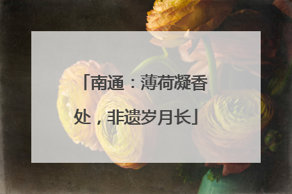 南通：薄荷凝香处，非遗岁月长