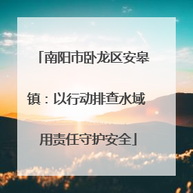 南阳市卧龙区安皋镇：以行动排查水域 用责任守护安全