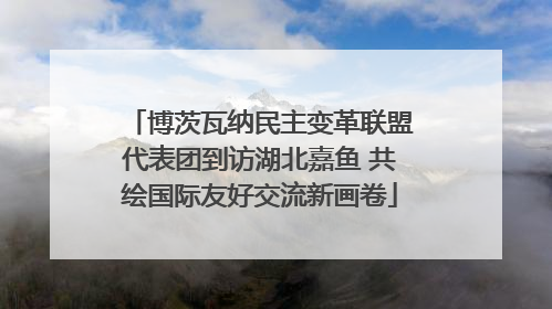 博茨瓦纳民主变革联盟代表团到访湖北嘉鱼 共绘国际友好交流新画卷