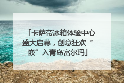 卡萨帝冰箱体验中心盛大启幕，创意狂欢“嵌”入青岛富尔玛