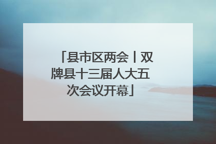 县市区两会丨双牌县十三届人大五次会议开幕