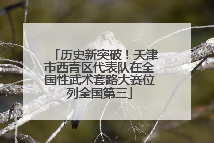 历史新突破！天津市西青区代表队在全国性武术套路大赛位列全国第三