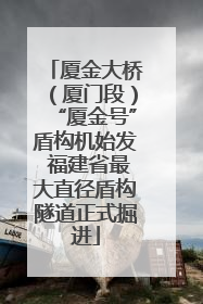 厦金大桥（厦门段）“厦金号”盾构机始发 福建省最大直径盾构隧道正式掘进