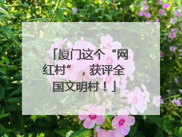 厦门这个“网红村”，获评全国文明村！