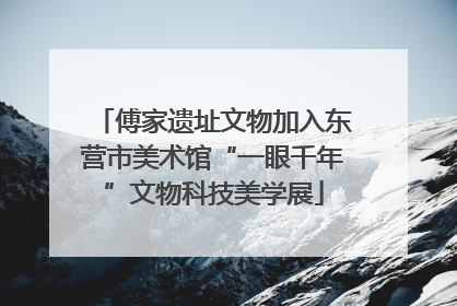 傅家遗址文物加入东营市美术馆“一眼千年”文物科技美学展