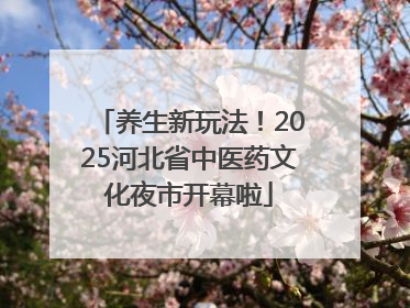 养生新玩法！2025河北省中医药文化夜市开幕啦