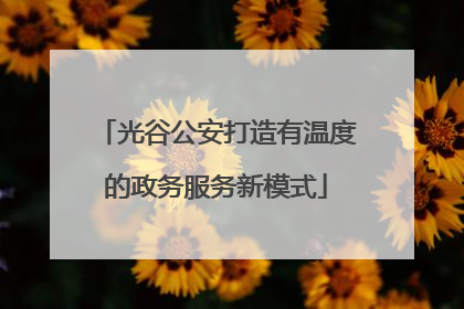 光谷公安打造有温度的政务服务新模式