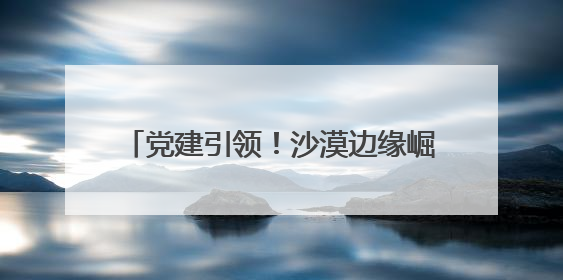 党建引领！沙漠边缘崛起超百个亿元产值连队