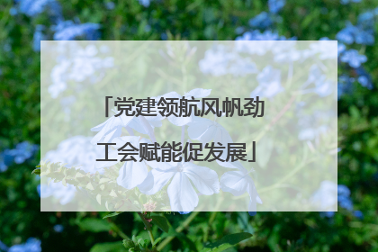 党建领航风帆劲 工会赋能促发展
