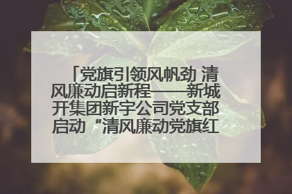党旗引领风帆劲 清风廉动启新程——新城开集团新宇公司党支部启动“清风廉动党旗红”系列活动