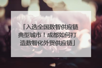 入选全国数智供应链典型城市！成都如何打造数智化外贸供应链