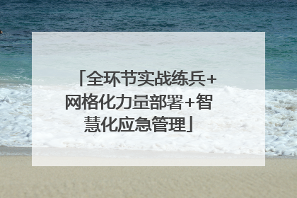 全环节实战练兵+网格化力量部署+智慧化应急管理