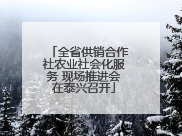 全省供销合作社农业社会化服务 现场推进会在泰兴召开
