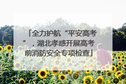 全力护航“平安高考”，湖北孝感开展高考前消防安全专项检查