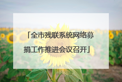 全市残联系统网络募捐工作推进会议召开