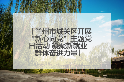 兰州市城关区开展“新心向党”主题党日活动 凝聚新就业群体奋进力量