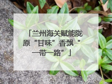 兰州海关赋能陇原“甘味”香飘“一带一路”
