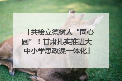 共绘立德树人“同心圆”！甘肃扎实推进大中小学思政课一体化