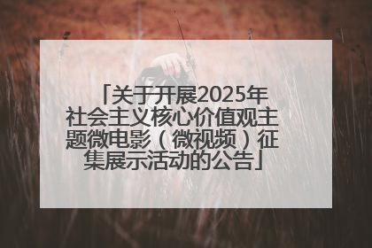 关于开展2025年社会主义核心价值观主题微电影（微视频）征集展示活动的公告
