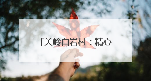 关岭白岩村：精心管护黄精基地 助力产业提质增效