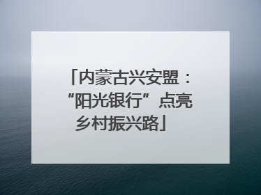 内蒙古兴安盟：“阳光银行”点亮乡村振兴路